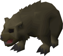 Grizzly bear cub (level 33).png